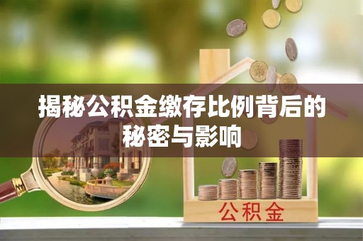 明溪揭秘公积金缴存比例背后的秘密与影响
