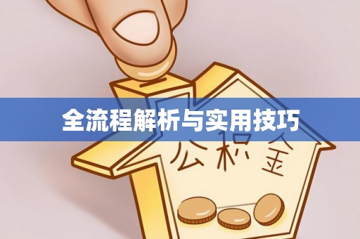 明溪全流程解析与实用技巧
