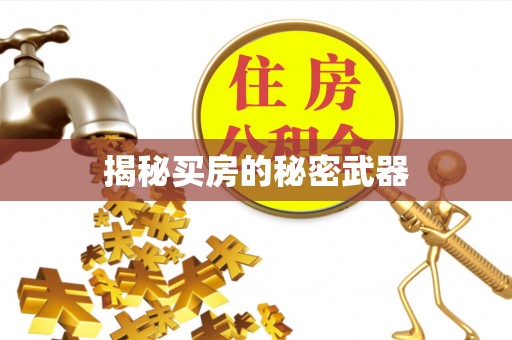 明溪揭秘买房的秘密武器