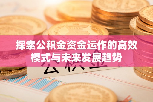 明溪探索公积金资金运作的高效模式与未来发展趋势