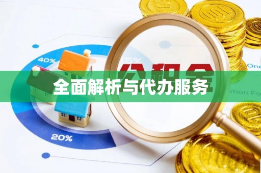 明溪全面解析与代办服务