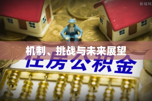 明溪机制、挑战与未来展望