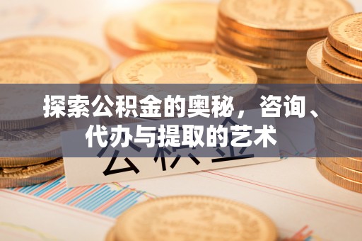 明溪探索公积金的奥秘，咨询、代办与提取的艺术